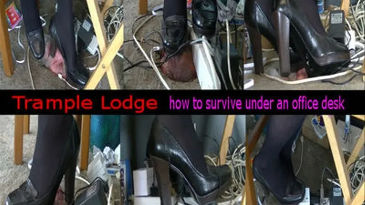 how to survive under an office desk