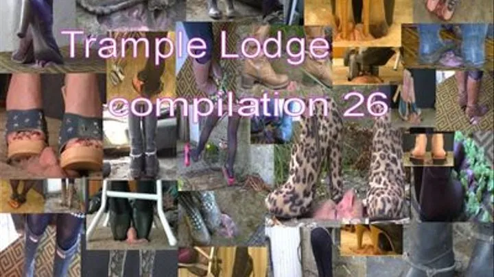 compilation 26