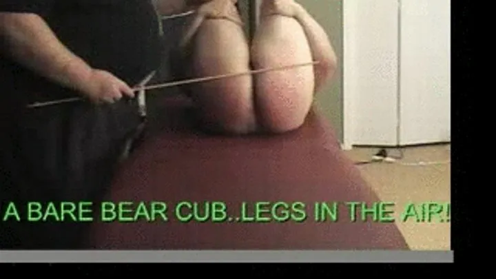 BARE BEAR CUB SPANKED...'I LOVE YOU STEP-DADDY'