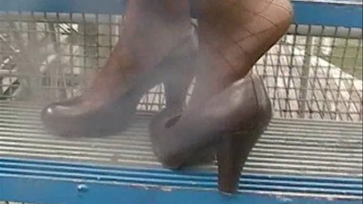 Brown heels at the marina