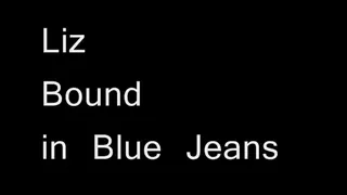 Liz Ashley Bound in Blue Jeans