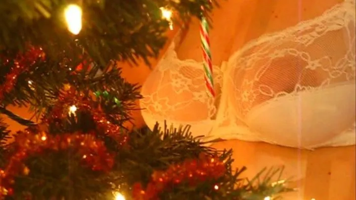 Tits tree decorating