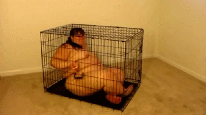 Caged & Struggling