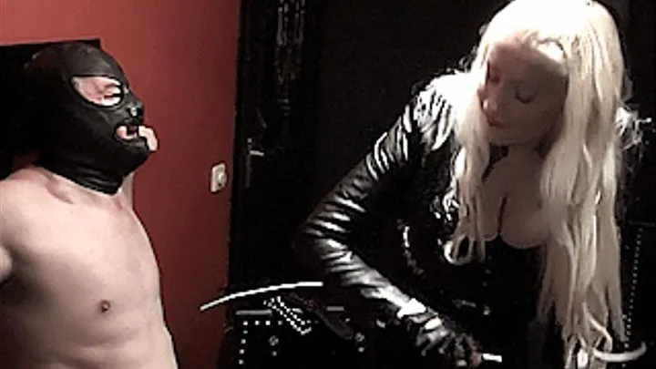 Leather domme 2   Dick caning. Part 2