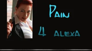 Pain4Alexa 5