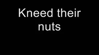 I kneed their nuts MEDIUM QUALITY