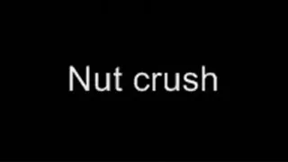 Crushing his nuts LOWER QUALITY