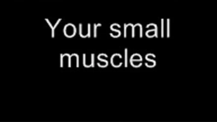 Your small muscles LOWER QUALITY