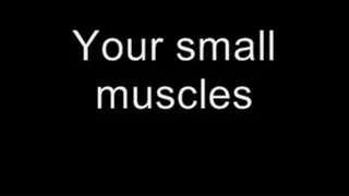 Your small muscles MEDIUM QUALITY