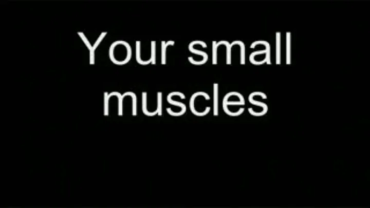 Your small muscles HIGH QUALITY