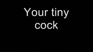 Your tiny cock MEDIUM QUALITY