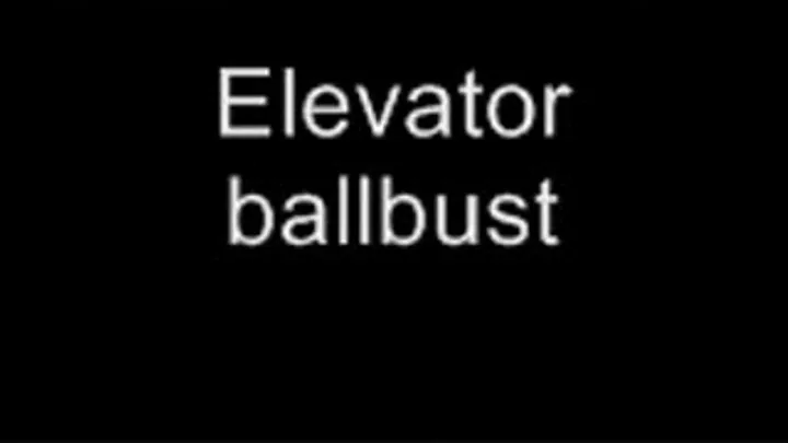 Elevator bust LOWER QUALITY