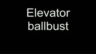 Elevator bust HIGH QUALITY