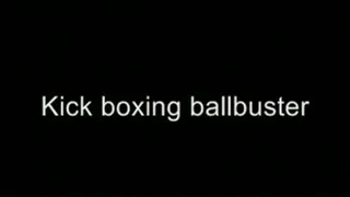 Kickboxing ballbuster HIGH QUALITY