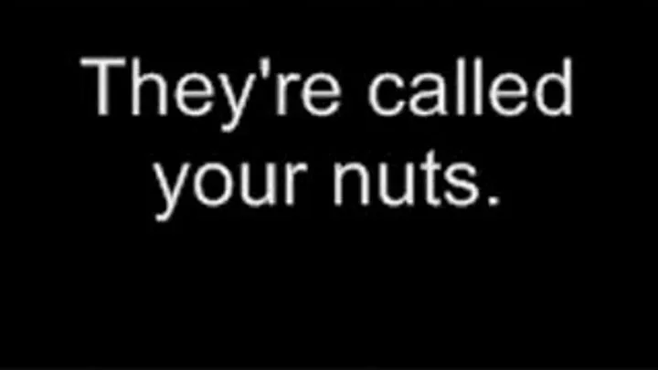 They're called your nuts LOWER QUALITY