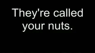 They're called your nuts HIGH QUALITY