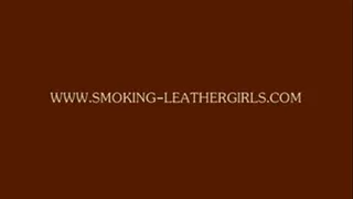Lara 41 - Long Leather Gloves and Wet Look Leggings