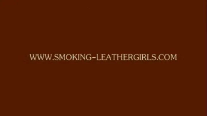 Verena 2 - Leathergirl Smoking Newport 100 in a Car