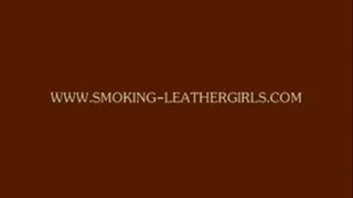 Verena 2 - Leathergirl Smoking Newport 100 in a Car