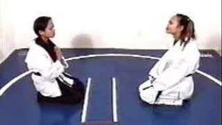 Karate Duel 1
