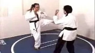 Karate Duel 4