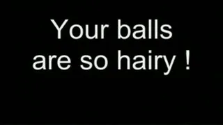 Your balls are so hairy! MEDIUM QUALITY