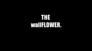 from the pussy vault: wallflower