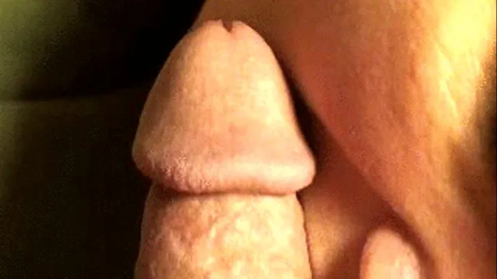 I tease your cock with my tongue