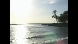Faith Leone Sucked My Dick POV On My Hawaii Trip!