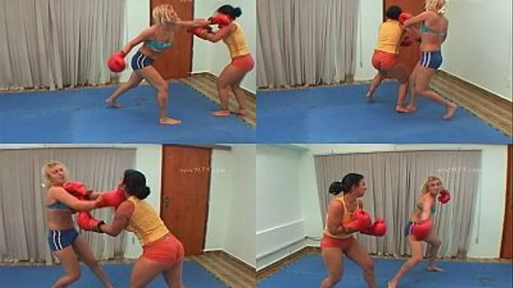 Girls in Boxing - Clip 02