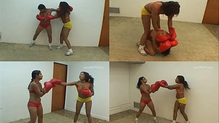 MF 2149 - BOXING GIRLS - CLIP 02