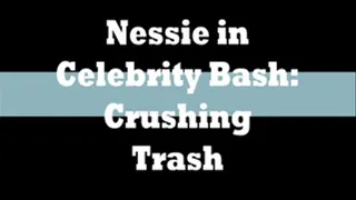 Celebrity Bash 2: Crushing Trash - windows