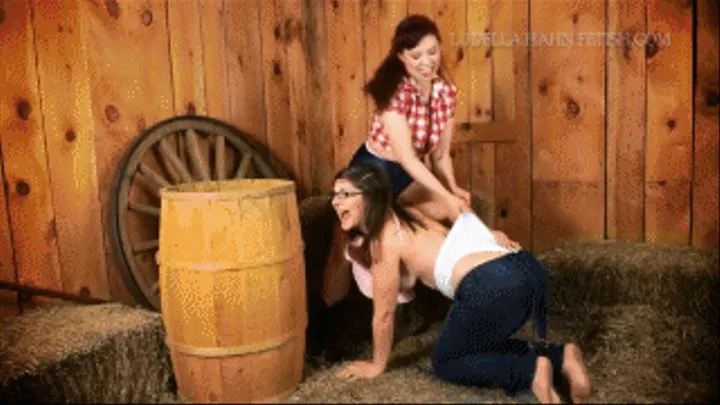 Barnyard Wedgies - MP4 426x240 (lower quality for easier downloading/ )