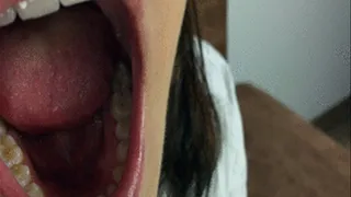 Mouth Tour And Straight Teeth