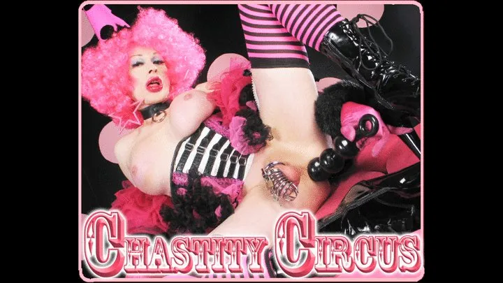 Chastity Circus