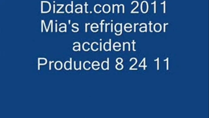 Mia'sRefrigerator Accident