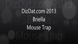 Briella mouse trap