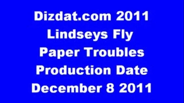 Lindseys Fly Paper Troubles