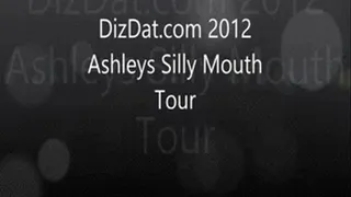 Ashleys Silly Mouth Tour