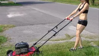 Matty Mows The Grass