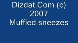 Muffled sneezes