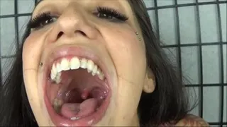 Stefania mouth tour N0. 4