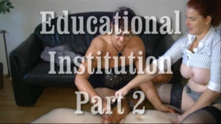 Educational Institution 2