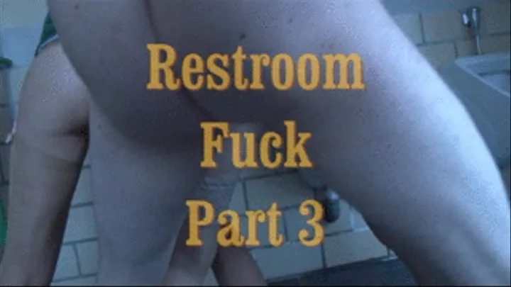 Restroom Fuck 3