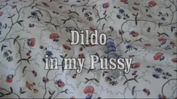 dildo in my pussy