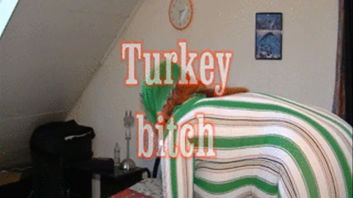 turkey bitch