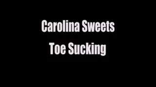 Carolina Sweets Self Sucking