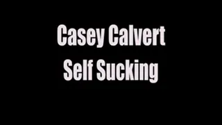 Casey Calvert Self Sucking