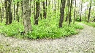 Stranger Blowjob in the Nature Park