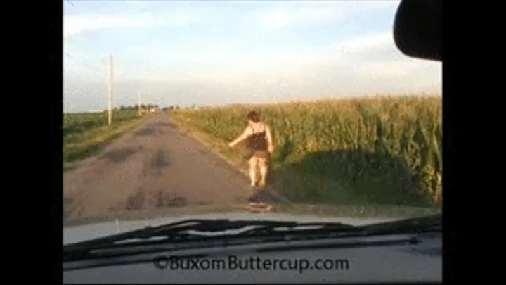 Hitchhiker Blowjob